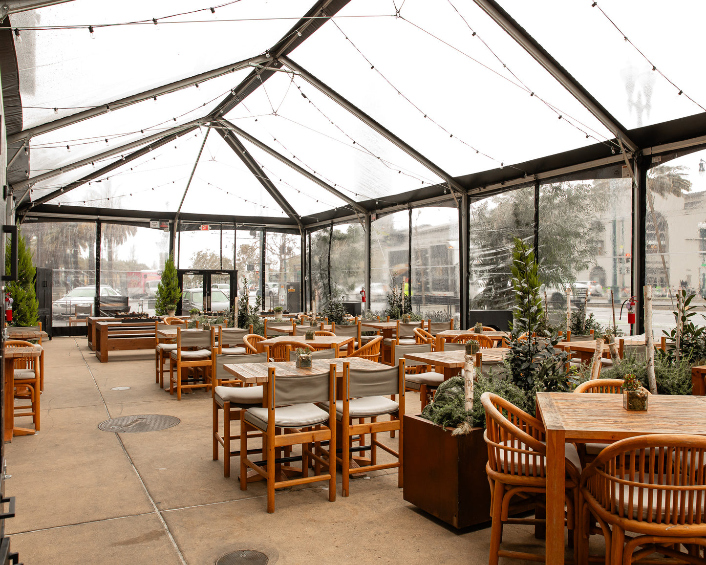 The Botanical Greenhouse Gingerbread Workshop
