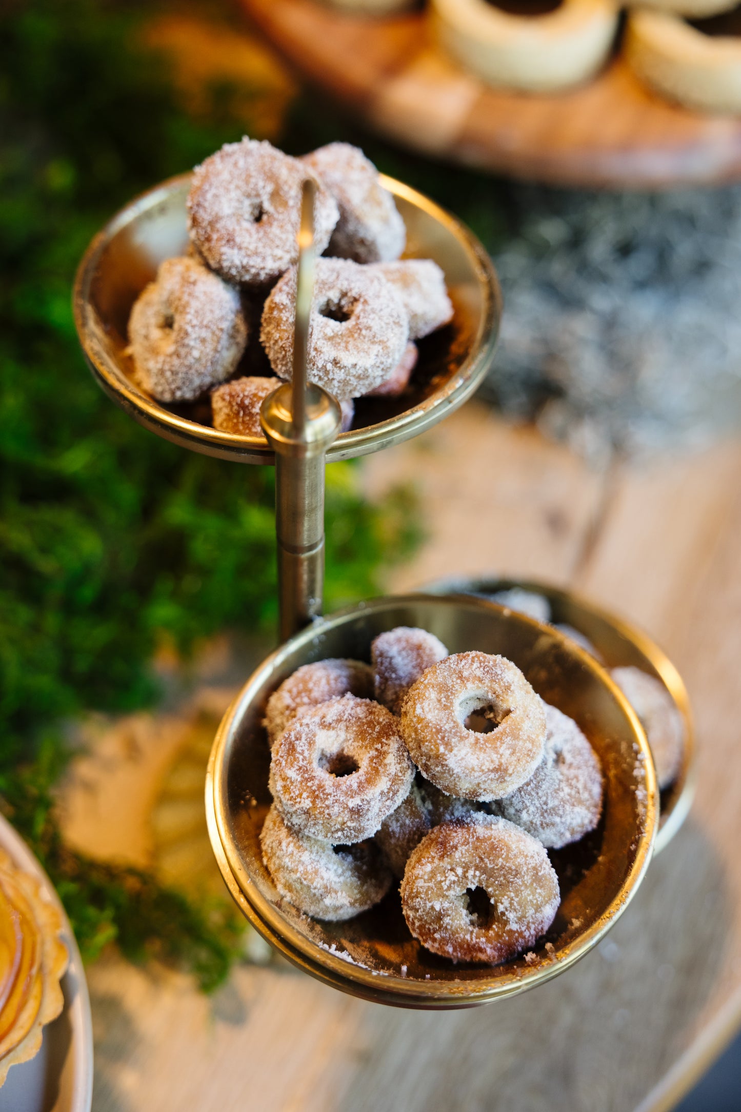 Thanksgiving PRE-ORDER: Mini Apple Cider Donuts - Pack of 18